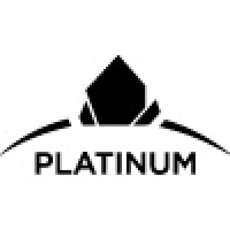 RE/MAX PLATINUM 2020